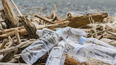 漂流木の中に散らばるプラスチックボトル。