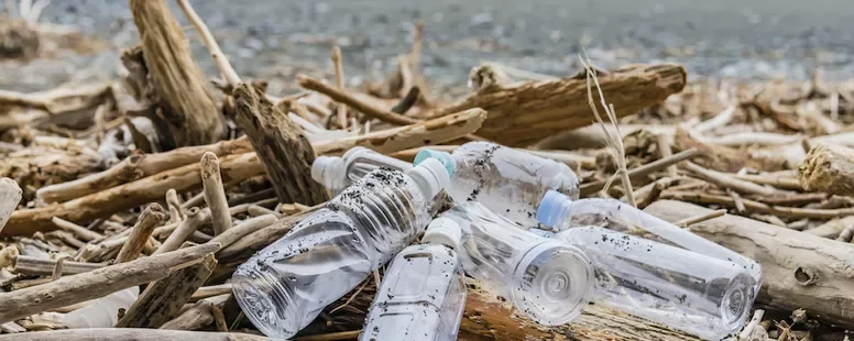 漂流木の中に散らばるプラスチックボトル。