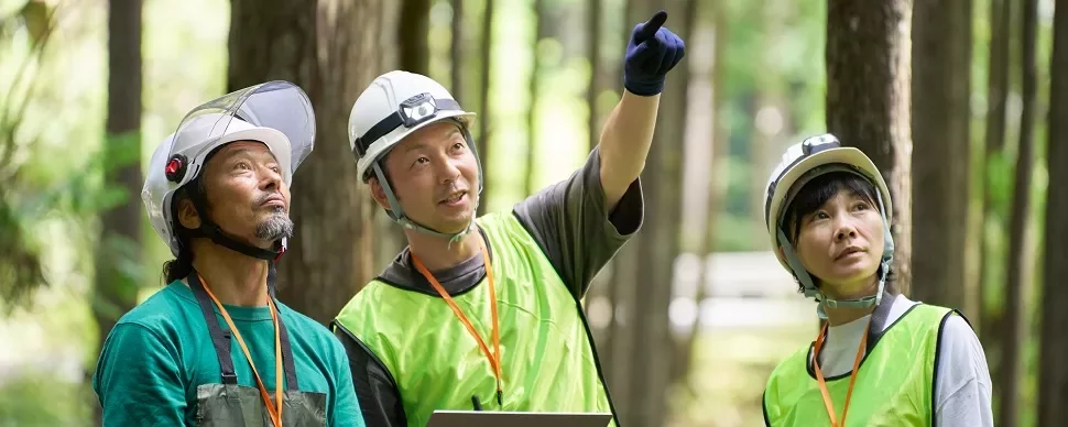 森の中でヘルメットとベストを着た作業員が上を見上げています。