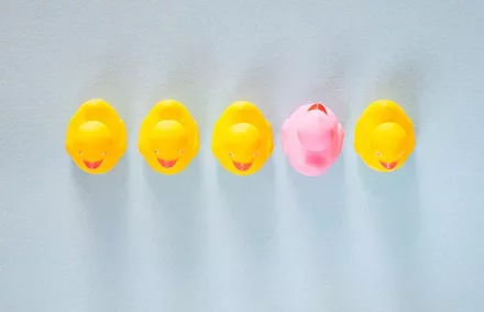 Five rubber ducks, one pink among yellow, on a blue background.