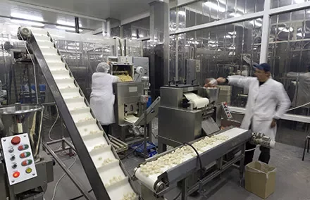 Workers in a food processing plant operating machinery.