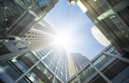 View of skyscrapers from below with sunlight streaming through.